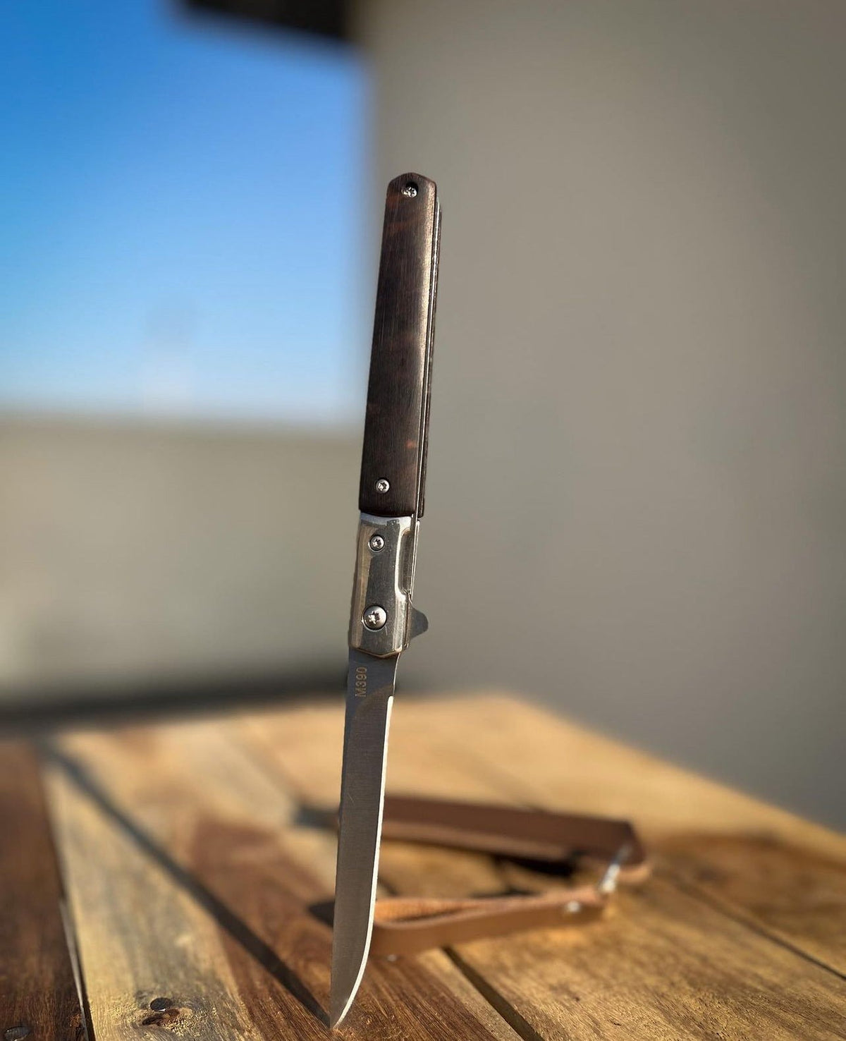 M390 Folding Knife with Brown Leather Sheath